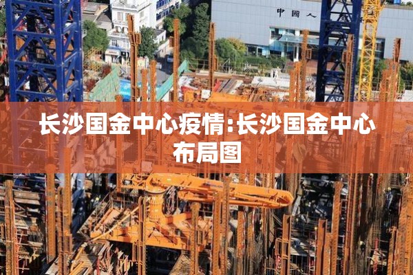 长沙国金中心疫情:长沙国金中心布局图