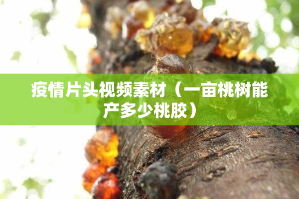 疫情片头视频素材(一亩桃树能产多少桃胶) 疫情片头视频素材(一亩桃树能产多少桃胶)