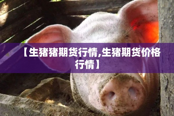 【生猪猪期货行情,生猪期货价格行情】