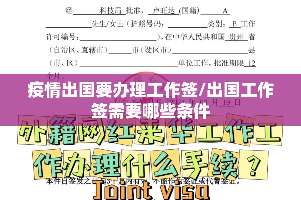 疫情出国要办理工作签/出国工作签需要哪些条件