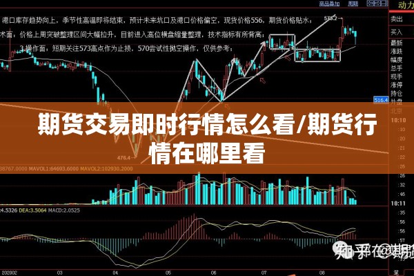 期货交易即时行情怎么看/期货行情在哪里看