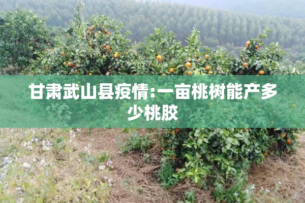 甘肃武山县疫情:一亩桃树能产多少桃胶