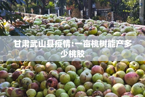 甘肃武山县疫情:一亩桃树能产多少桃胶 甘肃武山县疫情:一亩桃树能产多少桃胶