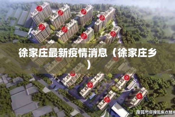 徐家庄最新疫情消息（徐家庄乡）