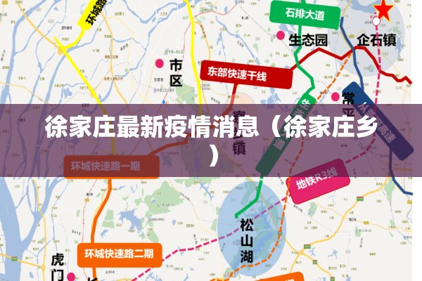 徐家庄最新疫情消息(徐家庄乡) 徐家庄最新疫情消息(徐家庄乡)