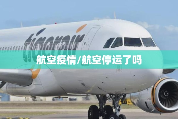 航空疫情/航空停运了吗