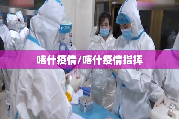 喀什疫情/喀什疫情指挥