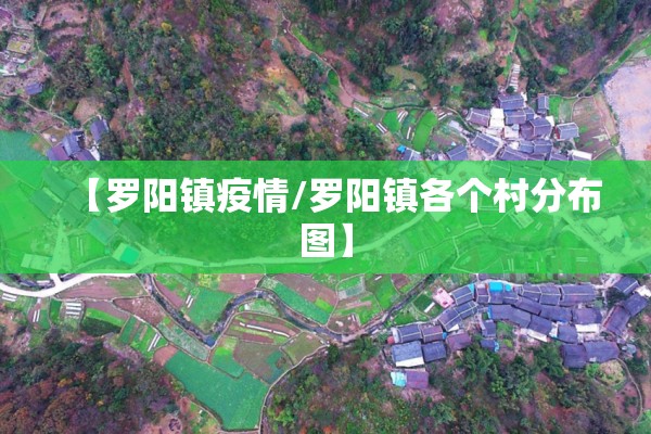 【罗阳镇疫情/罗阳镇各个村分布图】