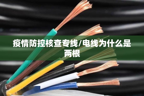 疫情防控核查专线/电线为什么是两根 疫情防控核查专线/电线为什么是两根