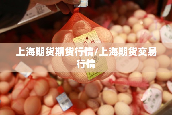 上海期货期货行情/上海期货交易行情