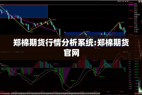 郑棉期货行情分析系统:郑棉期货官网 郑棉期货行情分析系统:郑棉期货官网