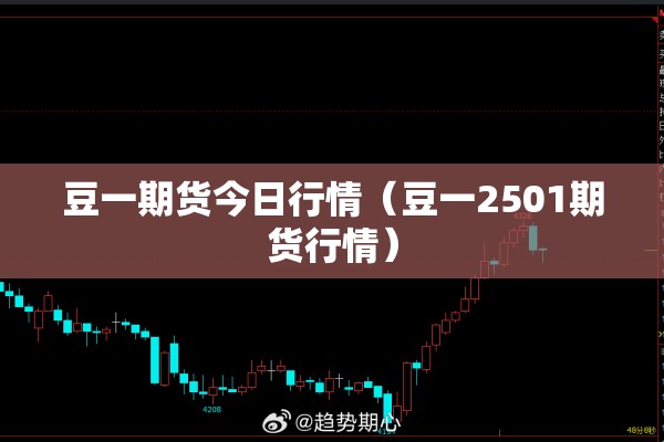 豆一期货今日行情（豆一2501期货行情）