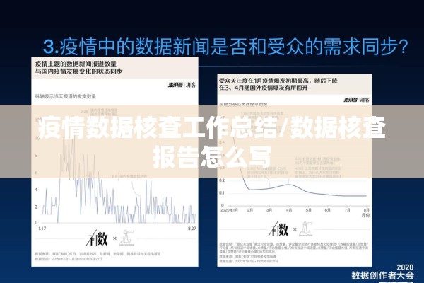 疫情数据核查工作总结/数据核查报告怎么写
