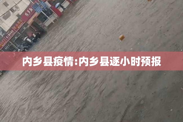 内乡县疫情:内乡县逐小时预报