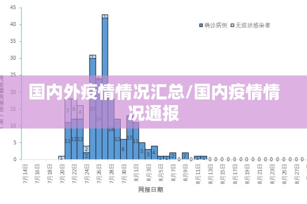 国内外疫情情况汇总/国内疫情情况通报