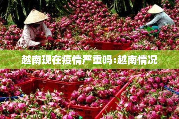 越南现在疫情严重吗:越南情况 越南现在疫情严重吗:越南情况