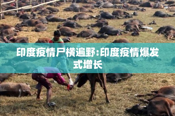 成都疫情地图/成都最新疫情发布