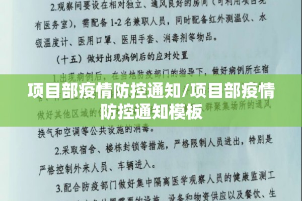 项目部疫情防控通知/项目部疫情防控通知模板