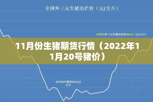 11月份生猪期货行情（2022年11月20号猪价）