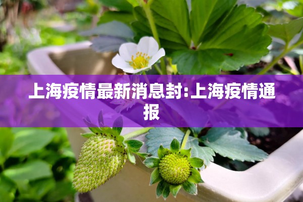 【华泰期货今日油价行情,华泰期货行情预警】