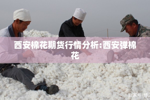 西安棉花期货行情分析:西安弹棉花