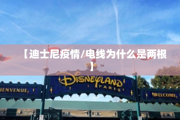 【迪士尼疫情/电线为什么是两根】