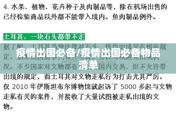 疫情出国必备/疫情出国必备物品清单