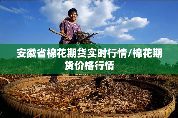 安徽省棉花期货实时行情/棉花期货价格行情