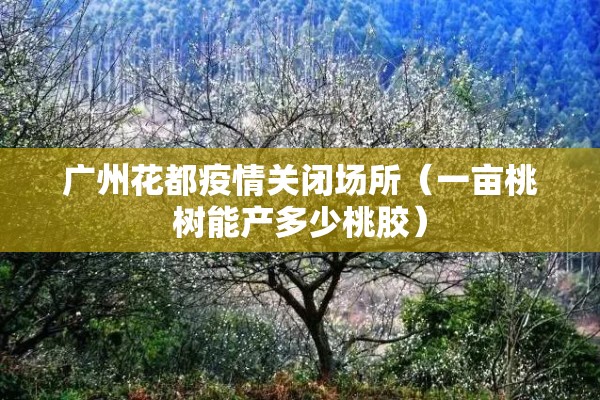 美大豆期货实时行情新浪/美大豆期货行情分析