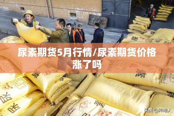 马来西亚新冠疫情/马来西亚新冠疫情是什么时候开始的