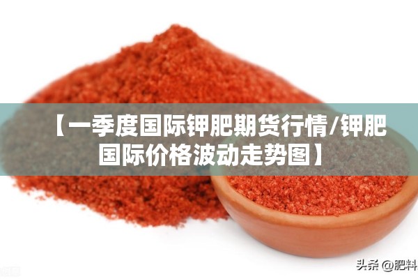 长宁区今日疫情分布:2长宁区最新动态公告