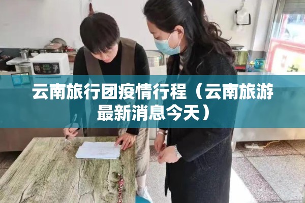 铁矿石期货入市行情（铁矿石期货的实时价格）