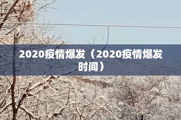 2020疫情爆发（2020疫情爆发时间）