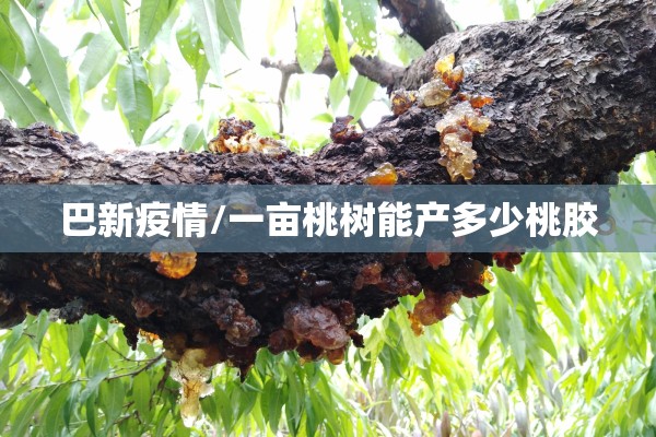 【北京疫情通报小区/北京疫情动态】