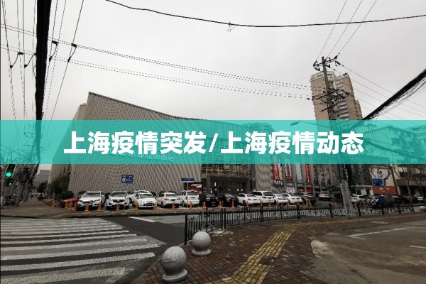 高碳锰铁期货行情/全国高碳锰铁最低价格