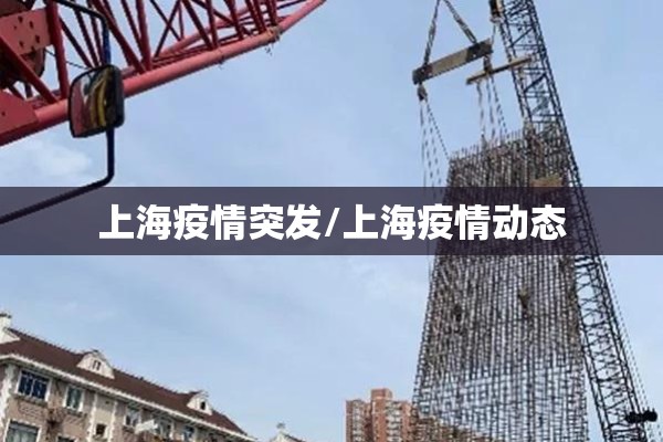 上海疫情突发/上海疫情动态