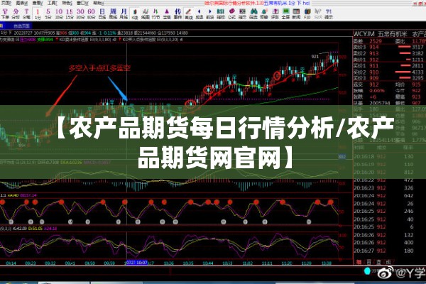 【农产品期货每日行情分析/农产品期货网官网】
