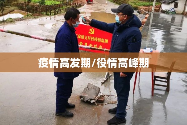 疫情高发期/役情高峰期