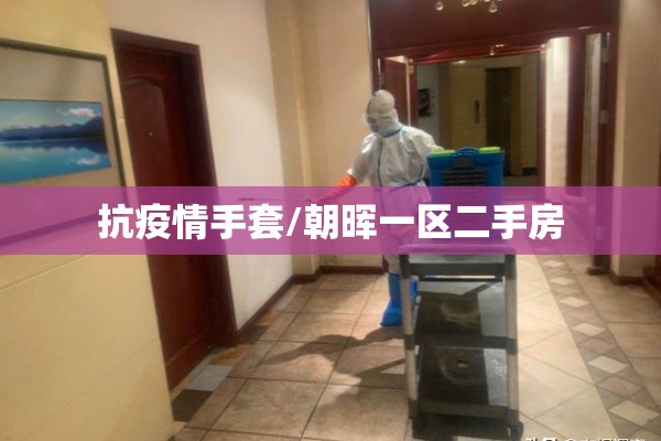抗疫情手套/朝晖一区二手房