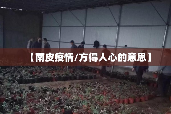 疫情对国内的冲击（疫情对中国经济造成的影响）