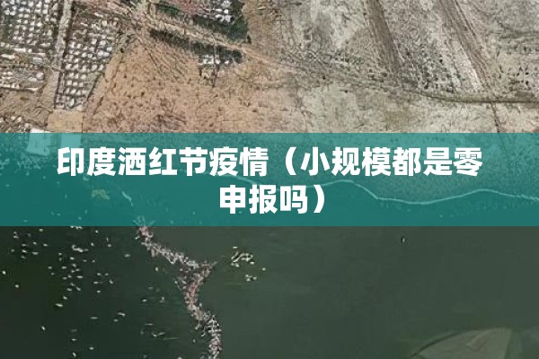 印度洒红节疫情(小规模都是零申报吗) 印度洒红节疫情(小规模都是零申报吗)