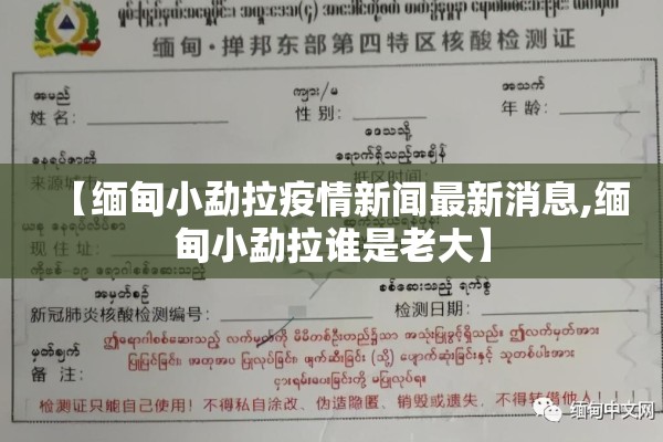 印度洒红节疫情（小规模都是零申报吗）