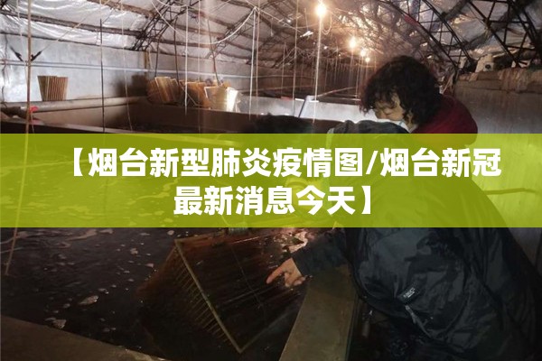 【防疫情安全知识句子,防疫情安全知识句子大全】