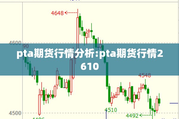 pta期货行情分析:pta期货行情2610