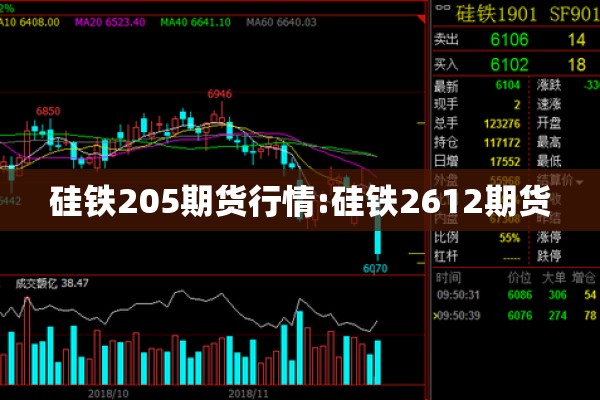 安徽临泉疫情最新通报（安微省临泉县是哪个市）