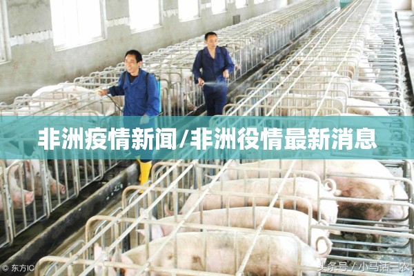 非洲疫情新闻/非洲役情最新消息