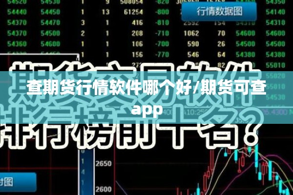查期货行情软件哪个好/期货可查app