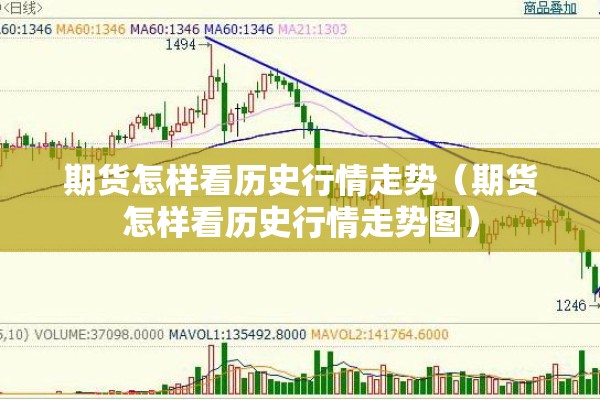 疫情报/疫情报告应遵循的原则是什么