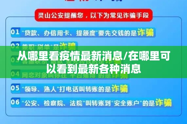 疫情防控流调事迹材料/抗疫流调工作心得