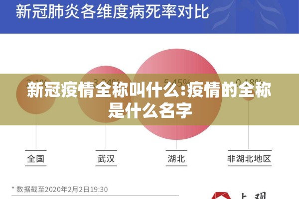 期货每日行情回顾在哪看/期货实时行情查询方式